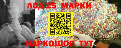 индика Ставрополь