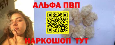 индика Ставрополь