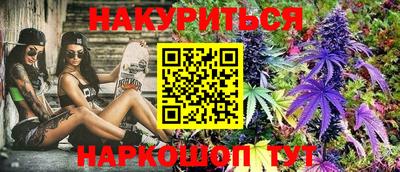 индика Ставрополь