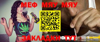 индика Ставрополь