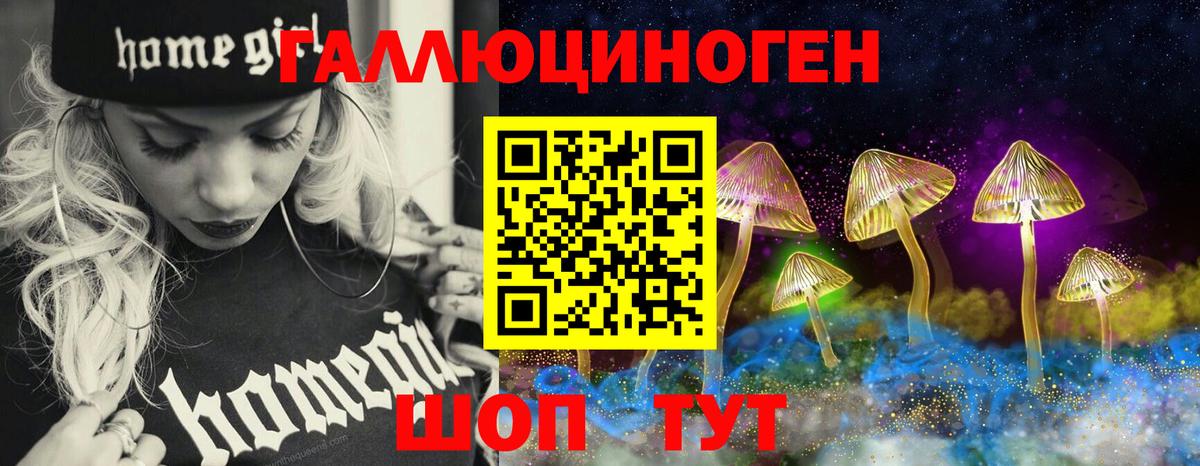 Галлюциногенные грибы Psilocybe Саранск