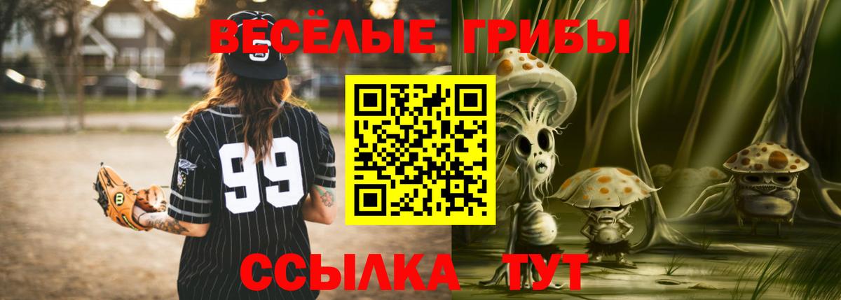 Саранск  Галлюциногенные грибы Psilocybe  Вход с VPN 